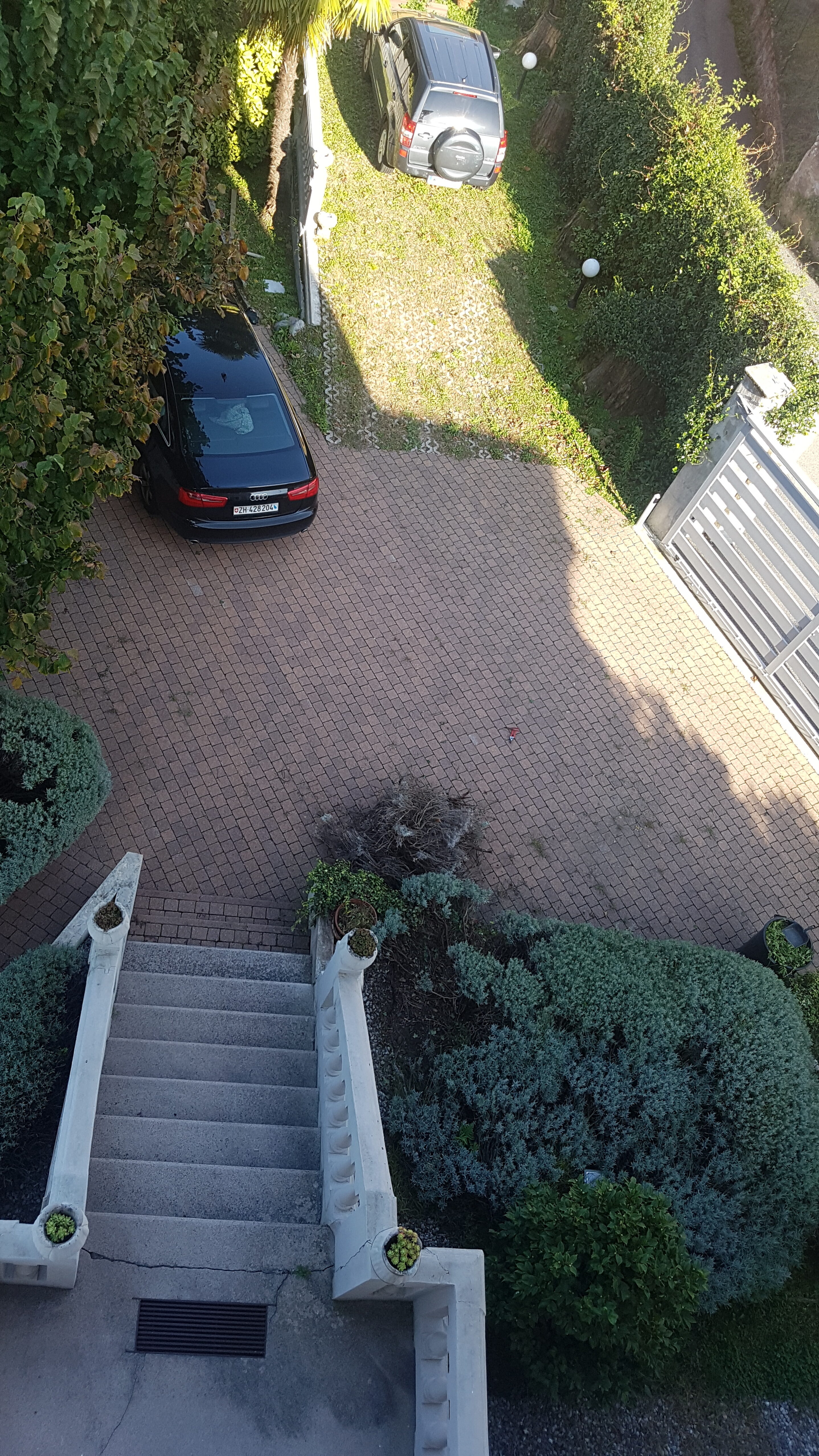 driveway